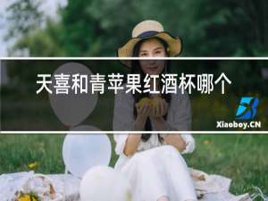 天喜和青苹果红酒杯哪个好