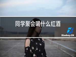 同学聚会喝什么红酒
