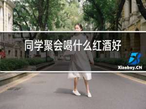 同学聚会喝什么红酒好
