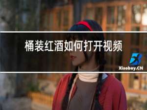 桶装红酒如何打开视频