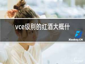 vce级别的红酒大概什么价位