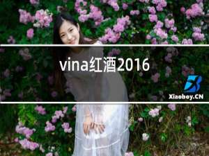 vina红酒2016