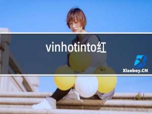 vinhotinto红酒