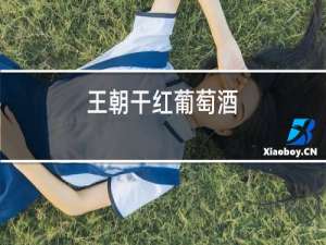 王朝干红葡萄酒