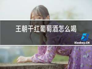 王朝干红葡萄酒怎么喝
