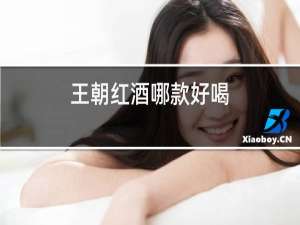 王朝红酒哪款好喝