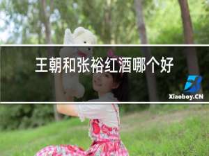 王朝和张裕红酒哪个好