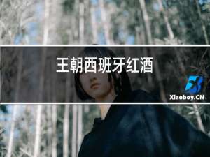 王朝西班牙红酒
