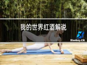 我的世界红酒解说