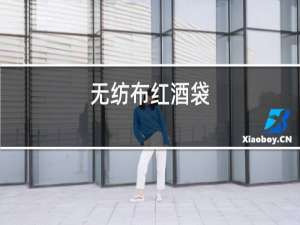 无纺布红酒袋