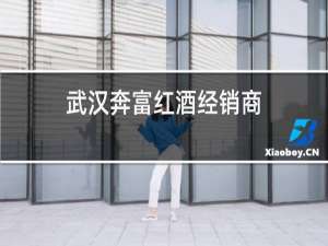武汉奔富红酒经销商