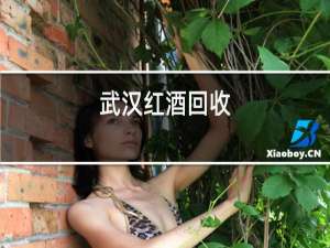 武汉红酒回收