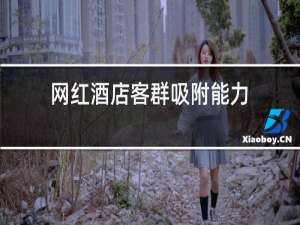 网红酒店客群吸附能力