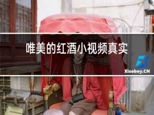 唯美的红酒小视频真实