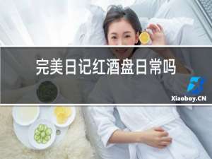 完美日记红酒盘日常吗