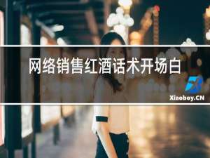 网络销售红酒话术开场白