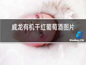 威龙有机干红葡萄酒图片价格表