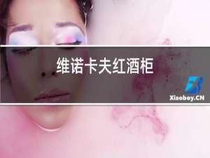 维诺卡夫红酒柜