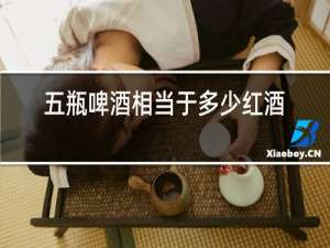 五瓶啤酒相当于多少红酒
