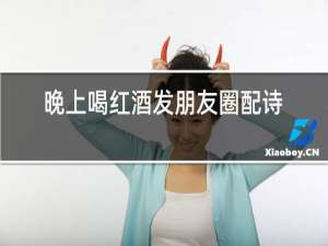 晚上喝红酒发朋友圈配诗句