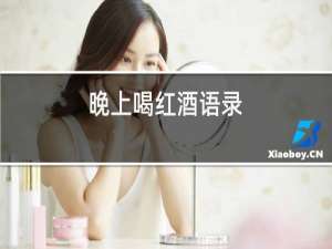 晚上喝红酒语录