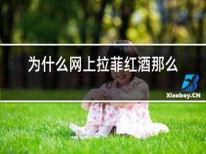 为什么网上拉菲红酒那么便宜