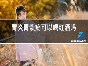 胃炎胃溃疡可以喝红酒吗