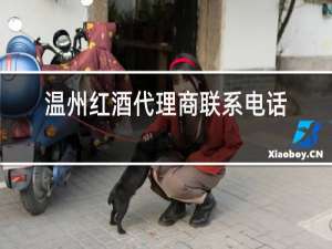 温州红酒代理商联系电话