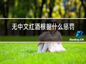 无中文红酒根据什么惩罚