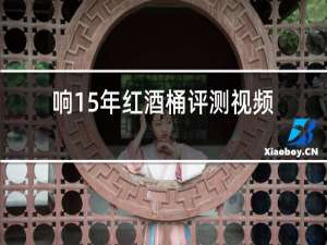 响15年红酒桶评测视频