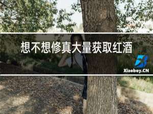 想不想修真大量获取红酒