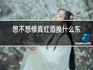 想不想修真红酒换什么东西比较好
