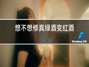 想不想修真绿酒变红酒