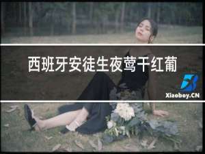 西班牙安徒生夜莺干红葡萄酒多少钱