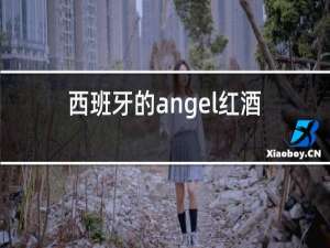 西班牙的angel红酒价格