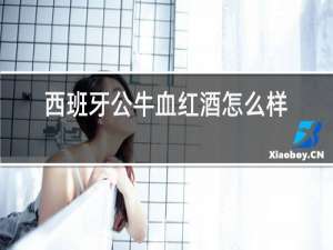 西班牙公牛血红酒怎么样