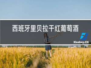 西班牙里贝拉干红葡萄酒十年干红
