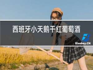 西班牙小天鹅干红葡萄酒怎么样