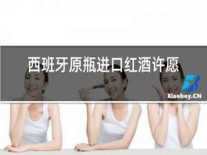 西班牙原瓶进口红酒许愿佳酿干红葡萄酒