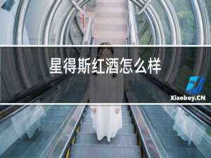 星得斯红酒怎么样