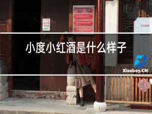 小度小红酒是什么样子