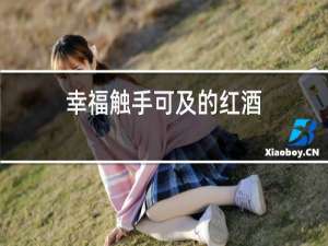 幸福触手可及的红酒