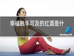 幸福触手可及的红酒是什么牌子