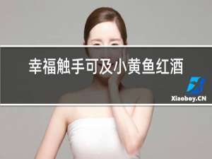 幸福触手可及小黄鱼红酒