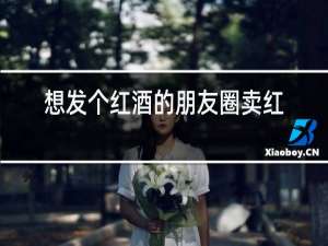 想发个红酒的朋友圈卖红酒