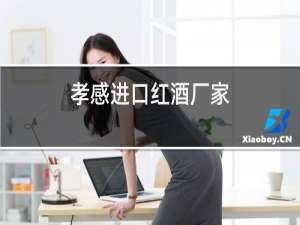 孝感进口红酒厂家