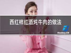 西红柿红酒炖牛肉的做法