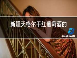 新疆天格尔干红葡萄酒的价格