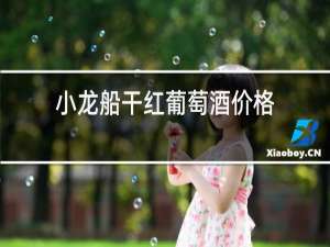 小龙船干红葡萄酒价格