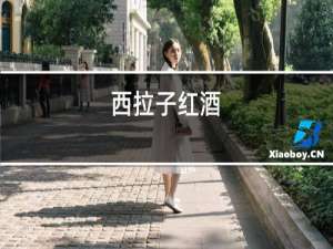 小李子红酒